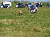 Golden Rabbit European Sandtrack-Derby Th. Ernst (191)